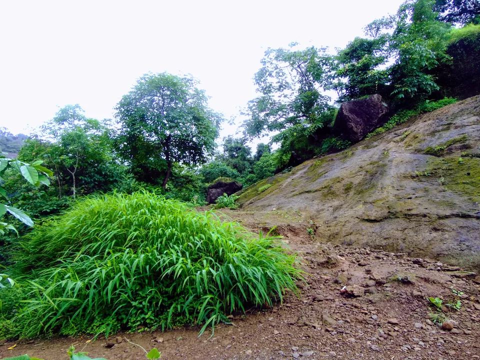 Photo of Kanheri Caves, Mumbai, Maharashtra, India by MUhammed Unais P (TheIndianTrails)