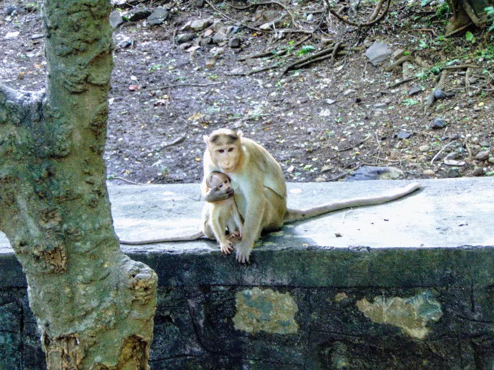 Photo of Kanheri Caves, Mumbai, Maharashtra, India by MUhammed Unais P (TheIndianTrails)