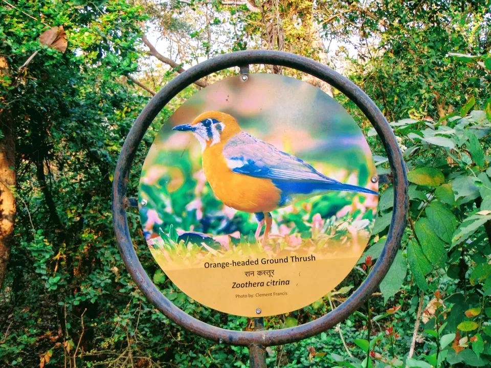 Photo of Mahuli Fort, Asangaon, Maharashtra, India by MUhammed Unais P (TheIndianTrails)