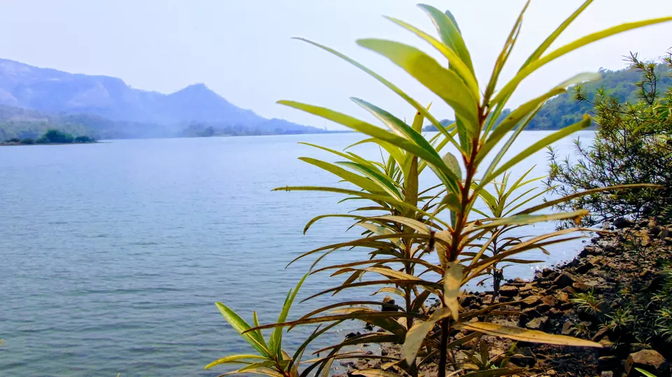Photo of Andharban Trek, Pimpri, Maharashtra, India by MUhammed Unais P (TheIndianTrails)