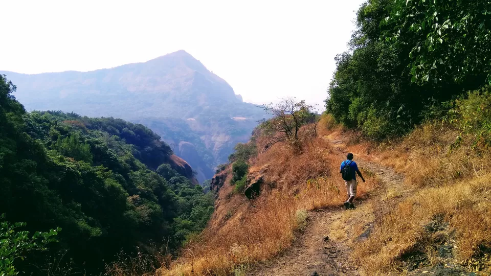 Photo of Andharban Trek, Pimpri, Maharashtra, India by MUhammed Unais P (TheIndianTrails)