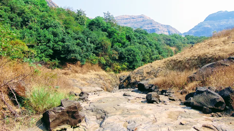 Photo of Andharban Trek, Pimpri, Maharashtra, India by MUhammed Unais P (TheIndianTrails)