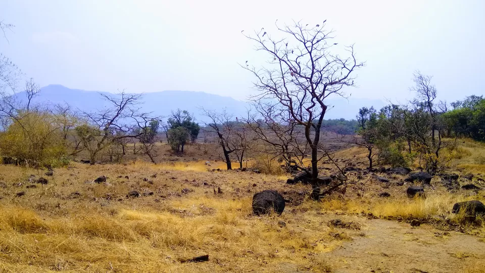 Photo of Andharban Trek, Pimpri, Maharashtra, India by MUhammed Unais P (TheIndianTrails)