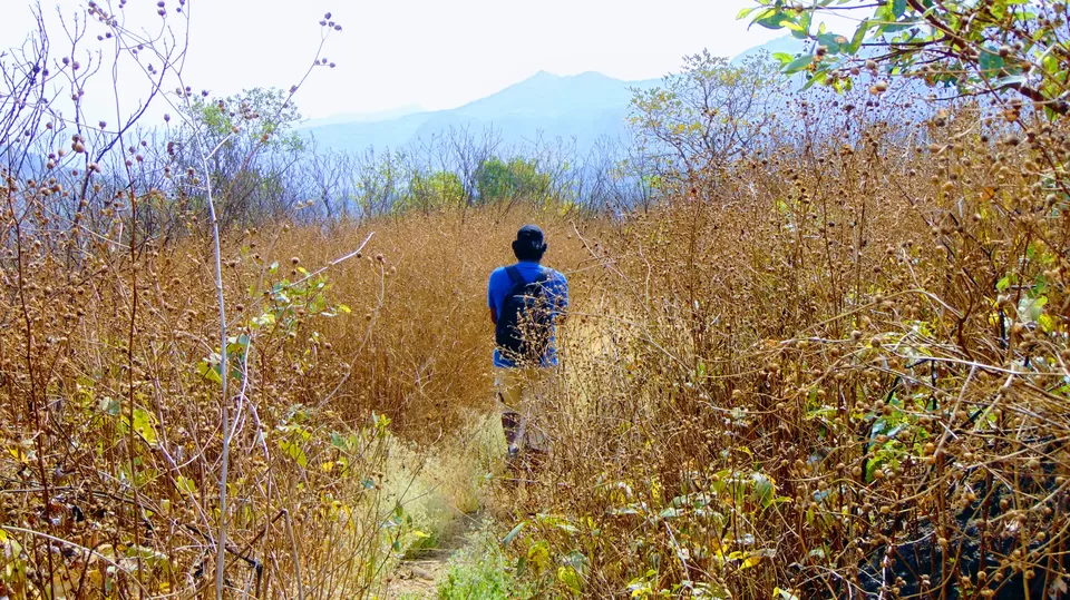 Photo of Andharban Trek, Pimpri, Maharashtra, India by MUhammed Unais P (TheIndianTrails)