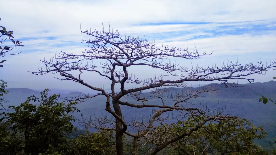 Photo of Karnala Fort, Maharashtra, India by MUhammed Unais P (TheIndianTrails)