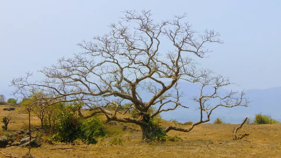Photo of Kohoj Fort, Maharashtra, India by MUhammed Unais P (TheIndianTrails)