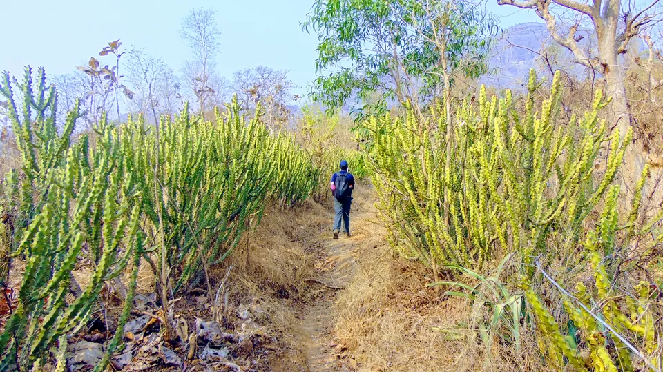 Photo of Kohoj Fort, Maharashtra, India by MUhammed Unais P (TheIndianTrails)