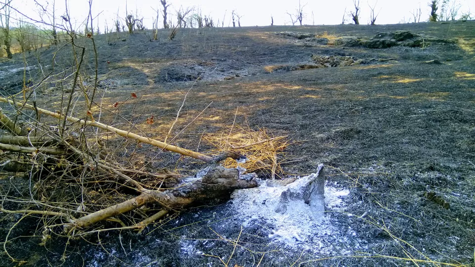 Photo of Siddhagad Fort(Bale Killa), Sidhgad, Maharashtra, India by MUhammed Unais P (TheIndianTrails)