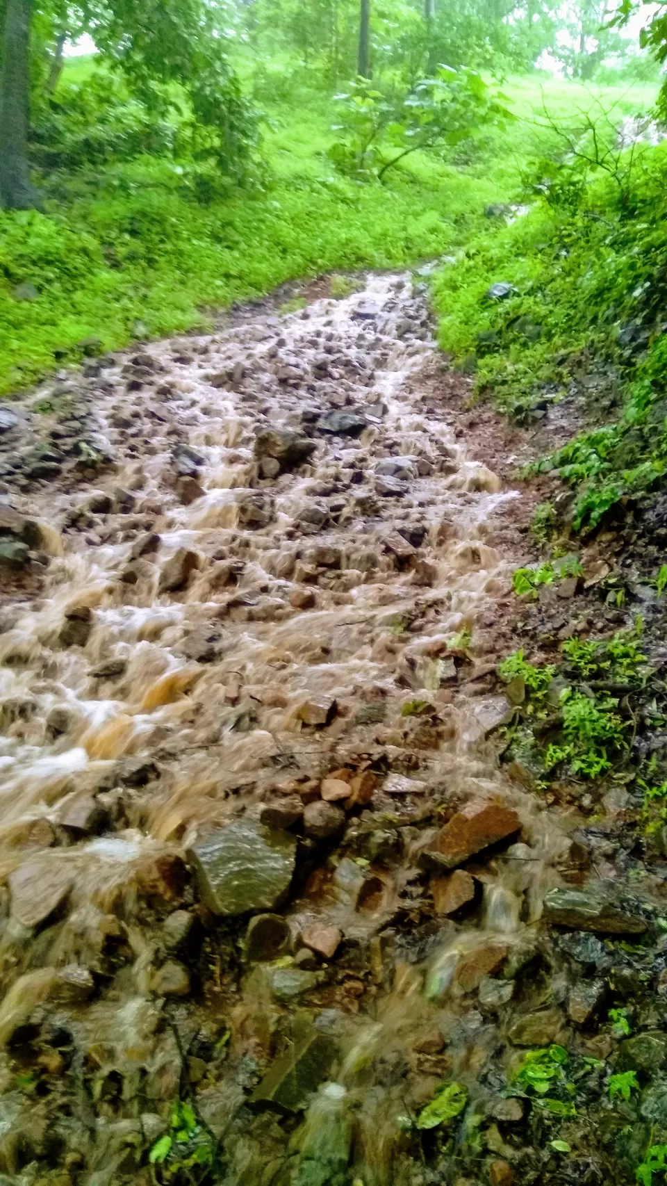 Photo of Vikatgad Peb Fort, Aanand Wadi, Maldunge, Maharashtra, India by MUhammed Unais P (TheIndianTrails)