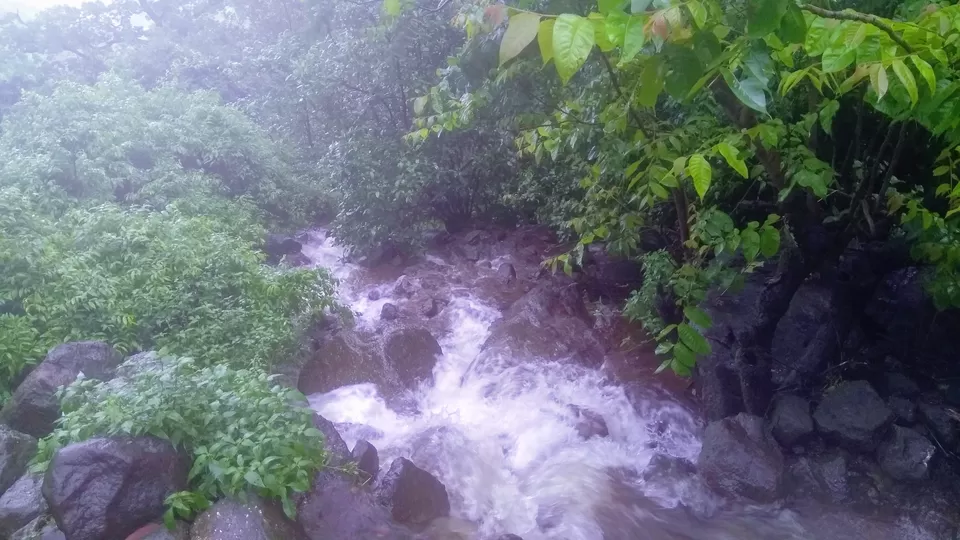 Photo of Vikatgad Peb Fort, Aanand Wadi, Maldunge, Maharashtra, India by MUhammed Unais P (TheIndianTrails)