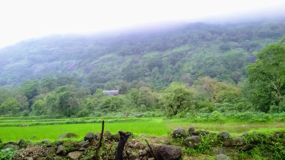 Photo of Bhimashankar, Maharashtra, India by MUhammed Unais P (TheIndianTrails)