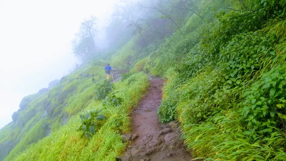 Photo of Bhimashankar, Maharashtra, India by MUhammed Unais P (TheIndianTrails)