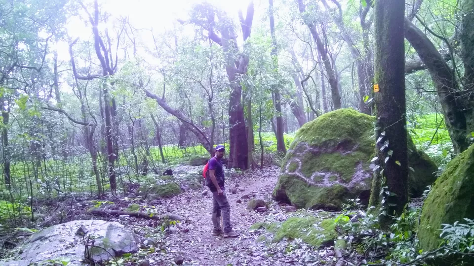 Photo of Bhimashankar, Maharashtra, India by MUhammed Unais P (TheIndianTrails)