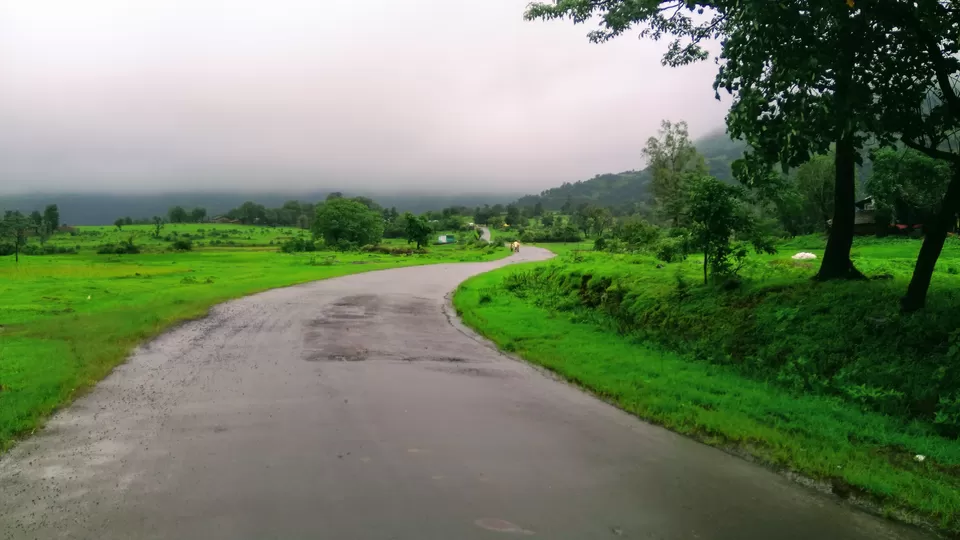 Photo of Harihar Fort, Harshewadi, Maharashtra by MUhammed Unais P (TheIndianTrails)