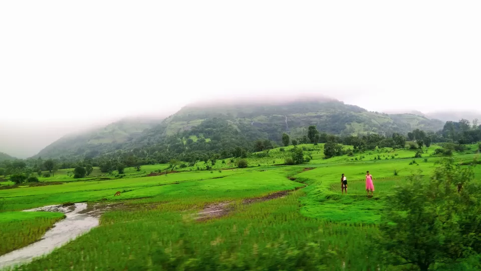 Photo of Harihar Fort, Harshewadi, Maharashtra by MUhammed Unais P (TheIndianTrails)
