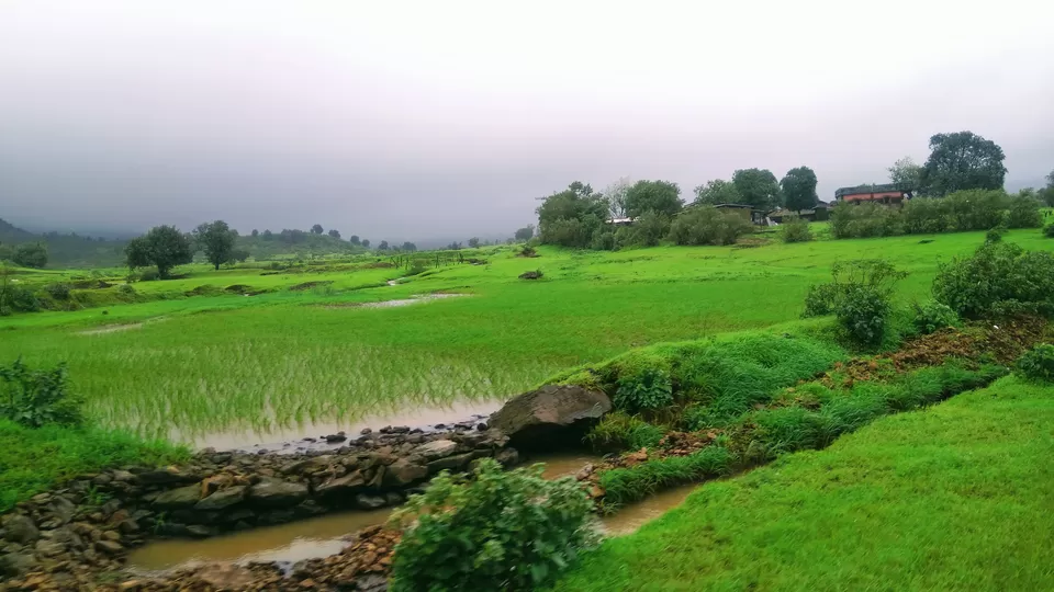 Photo of Harihar Fort, Harshewadi, Maharashtra by MUhammed Unais P (TheIndianTrails)