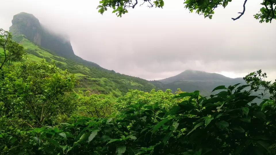 Photo of Harihar Fort, Harshewadi, Maharashtra by MUhammed Unais P (TheIndianTrails)