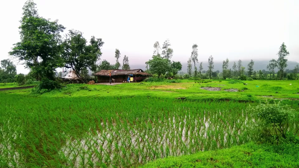 Photo of Harihar Fort, Harshewadi, Maharashtra by MUhammed Unais P (TheIndianTrails)