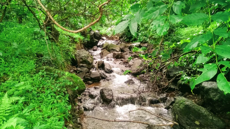 Photo of Harihar Fort, Harshewadi, Maharashtra by MUhammed Unais P (TheIndianTrails)