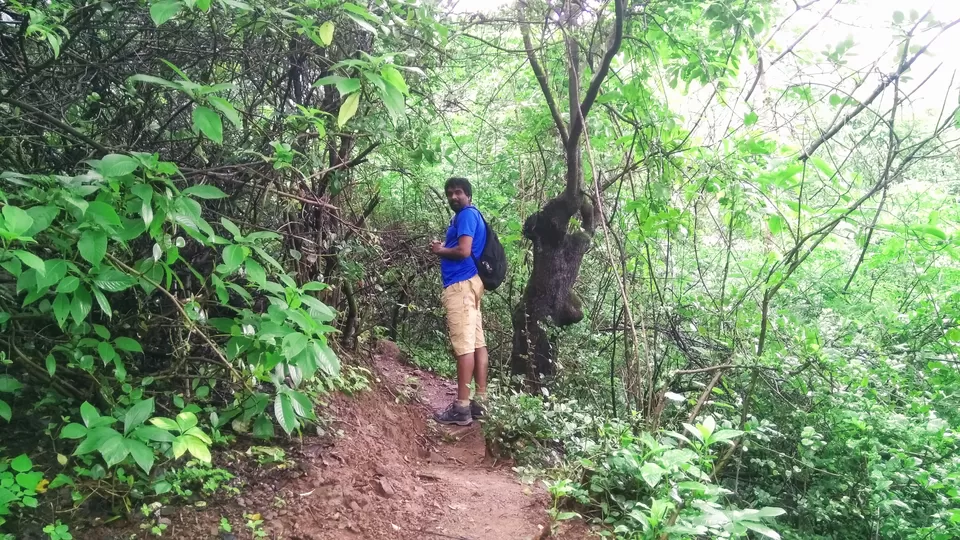 Photo of Harihar Fort, Harshewadi, Maharashtra by MUhammed Unais P (TheIndianTrails)
