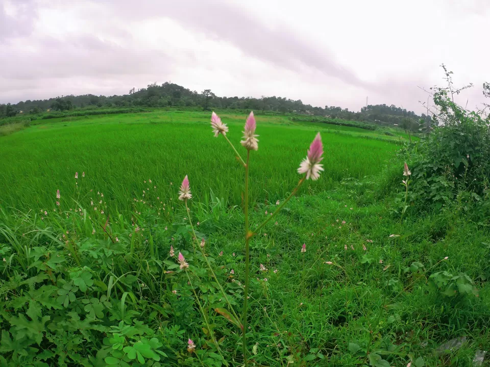 Photo of Naneghat, Ghatghar, Maharashtra by MUhammed Unais P (TheIndianTrails)
