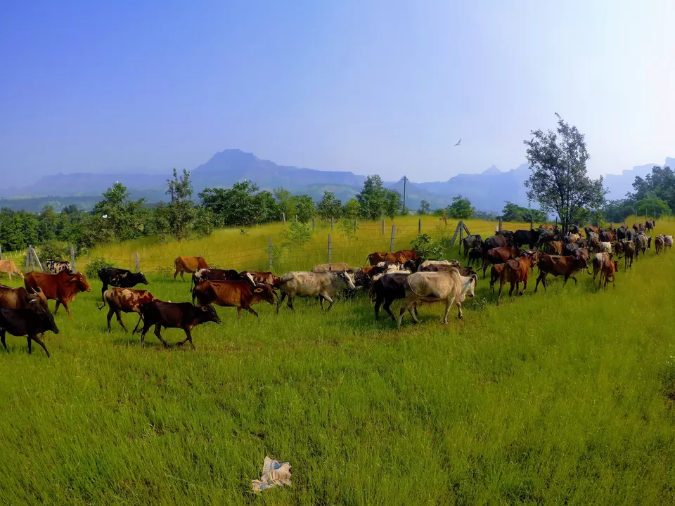 Photo of Valmiki Ashram, Dehene, Maharashtra, India by MUhammed Unais P (TheIndianTrails)