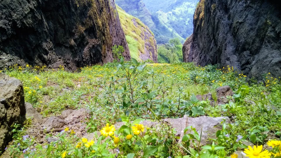 Photo of Valmiki Ashram, Dehene, Maharashtra, India by MUhammed Unais P (TheIndianTrails)