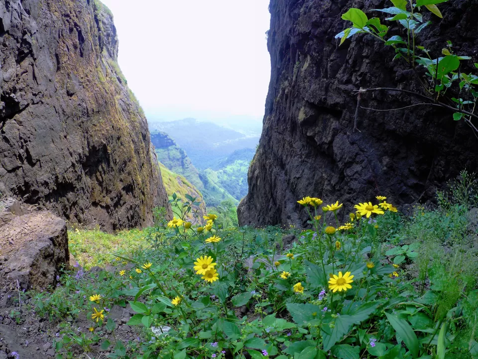 Photo of Valmiki Ashram, Dehene, Maharashtra, India by MUhammed Unais P (TheIndianTrails)