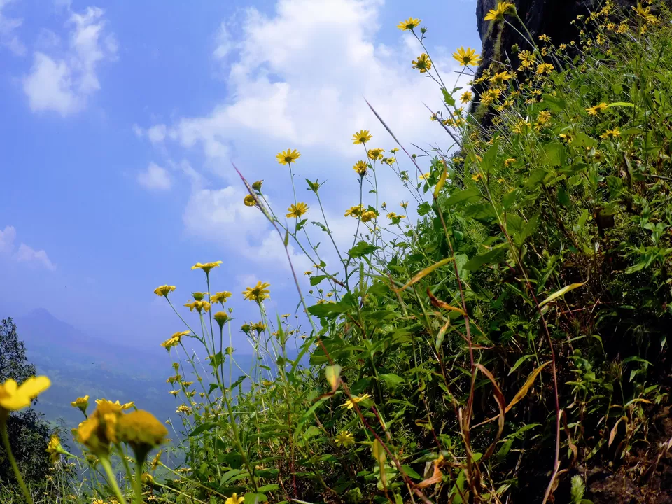 Photo of Ajoba, Maharashtra by MUhammed Unais P (TheIndianTrails)