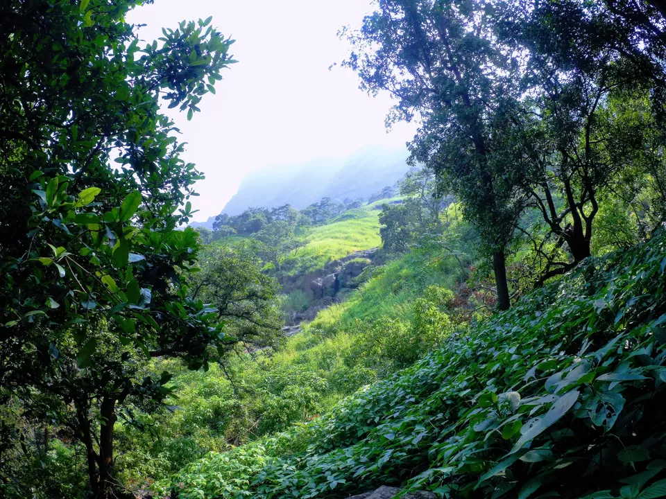 Photo of Ajoba, Maharashtra by MUhammed Unais P (TheIndianTrails)