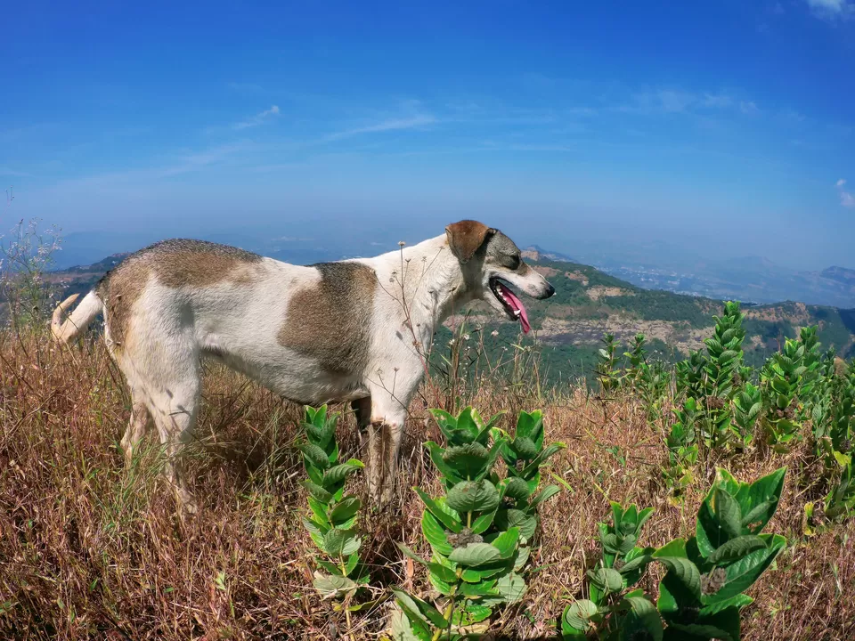 Photo of Duke's Nose Trail, Kurvande, Maharashtra, India by MUhammed Unais P (TheIndianTrails)