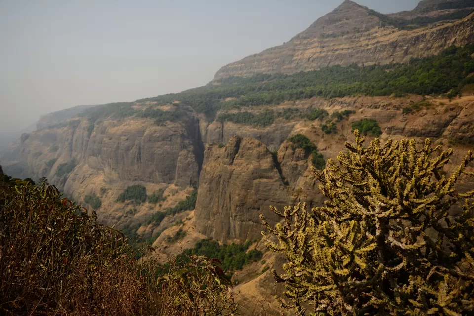Photo of Andharban Trail start point, Pimpri, Maharashtra, India by MUhammed Unais P (TheIndianTrails)