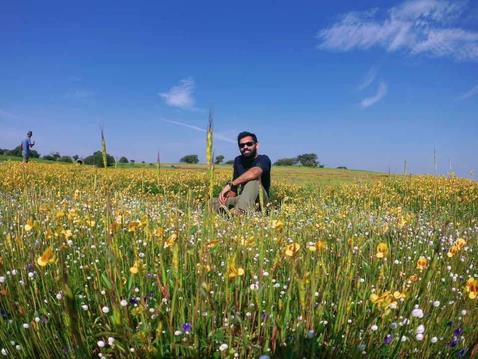 Photo of Kaas Plateau of Flowers, Maharashtra by MUhammed Unais P (TheIndianTrails)
