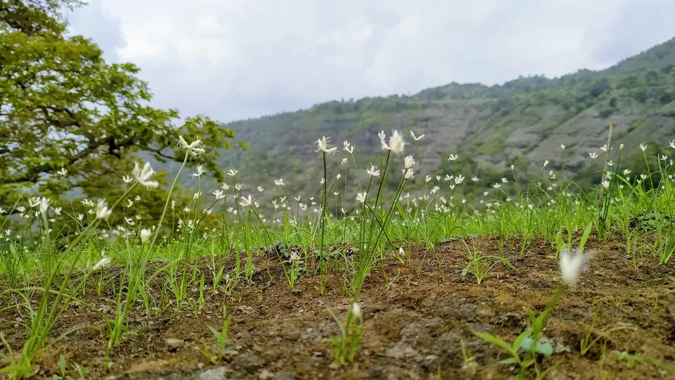 Photo of Irshalgad fort, Nadhal, Maharashtra, India by MUhammed Unais P (TheIndianTrails)