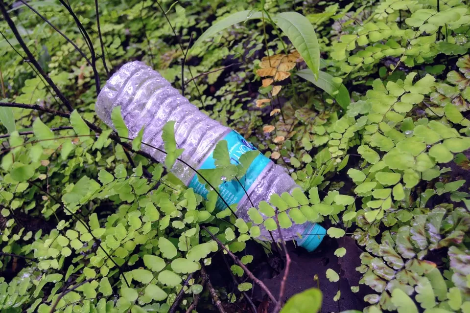 Photo of Karnala Fort, Karnala, Maharashtra, India by MUhammed Unais P (TheIndianTrails)