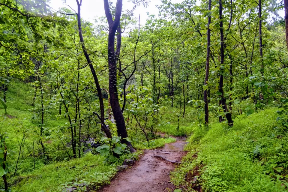 Photo of Karnala Fort, Karnala, Maharashtra, India by MUhammed Unais P (TheIndianTrails)