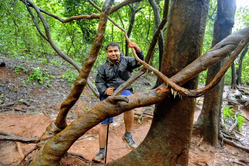 Photo of Karnala Fort, Karnala, Maharashtra, India by MUhammed Unais P (TheIndianTrails)
