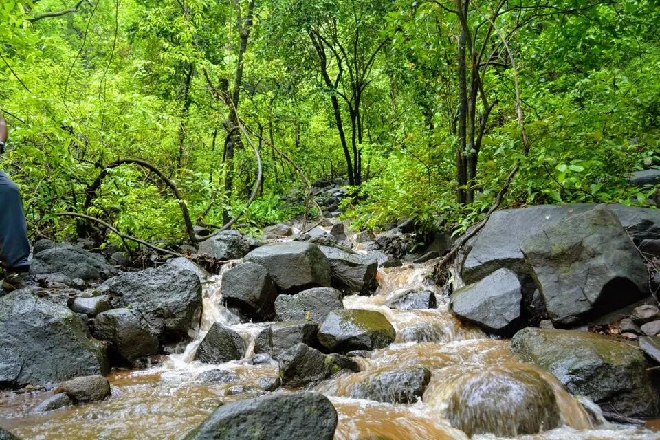 Photo of Karnala Fort, Karnala, Maharashtra, India by MUhammed Unais P (TheIndianTrails)