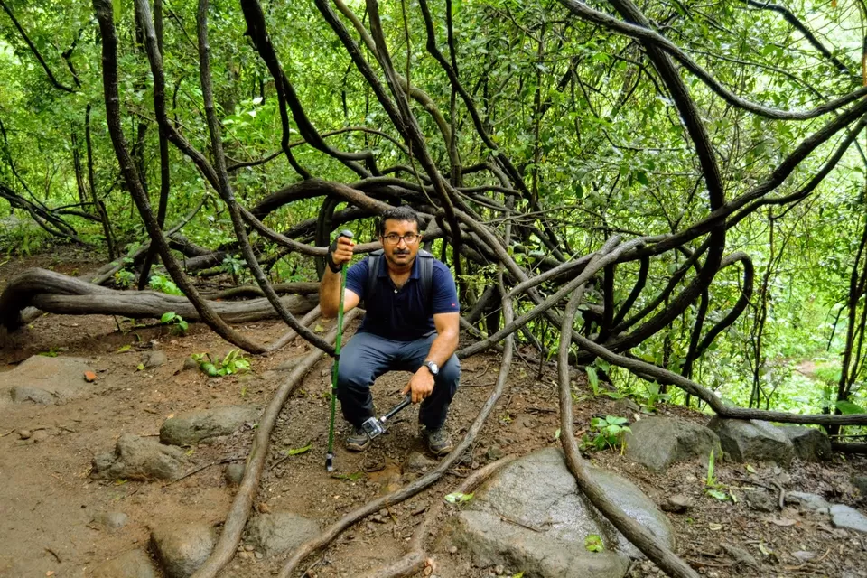 Photo of Karnala Fort, Karnala, Maharashtra, India by MUhammed Unais P (TheIndianTrails)