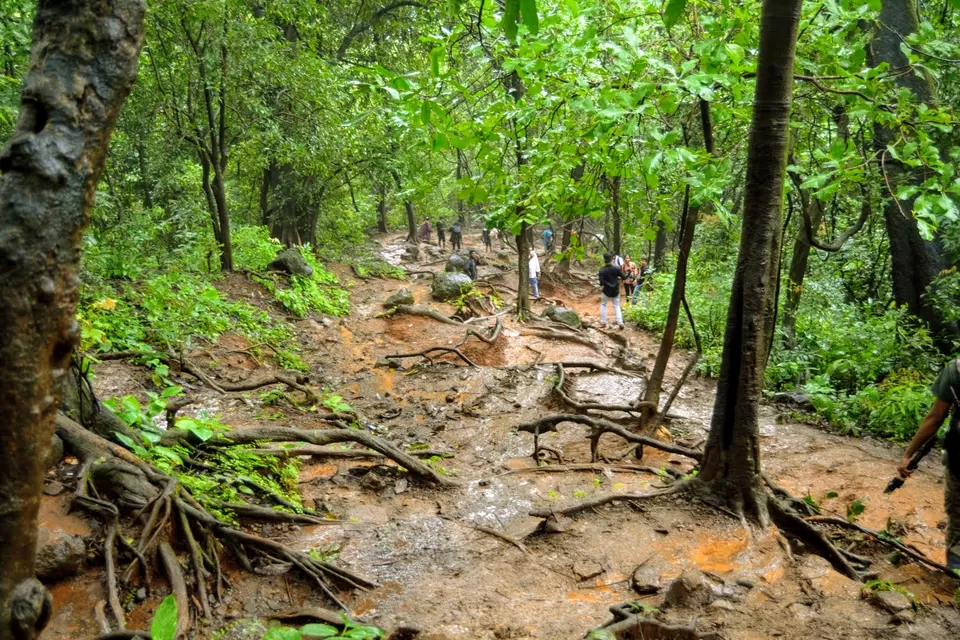 Photo of Karnala Fort, Karnala, Maharashtra, India by MUhammed Unais P (TheIndianTrails)