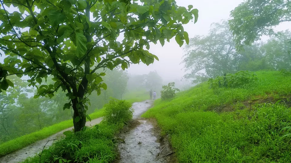 Photo of Karnala Fort, Karnala, Maharashtra, India by MUhammed Unais P (TheIndianTrails)