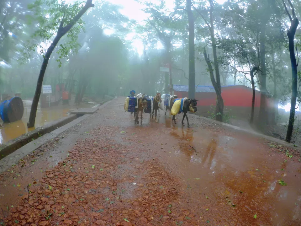 Photo of Matheran, Maharashtra, India by MUhammed Unais P (TheIndianTrails)
