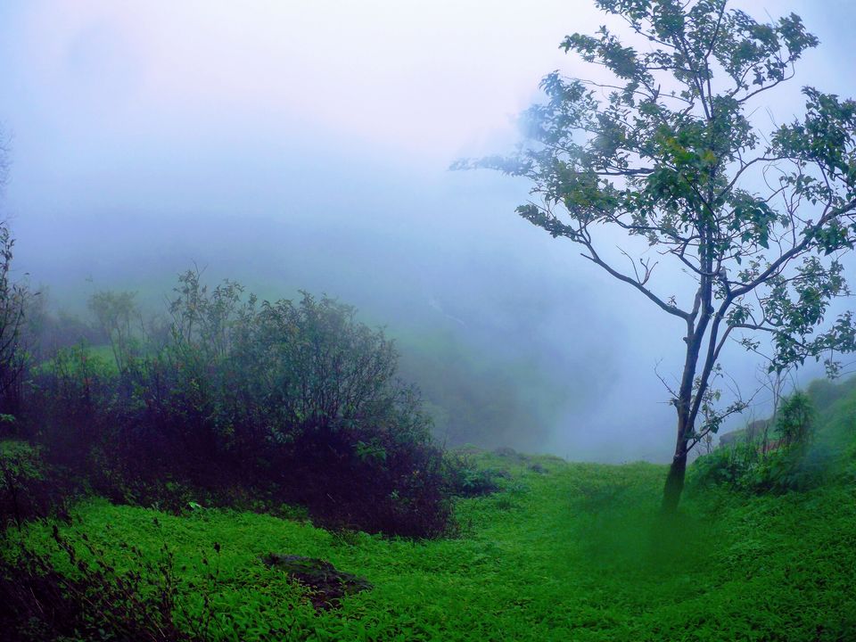 Photo of Monsoon trekking to Matheran Hills by MUhammed Unais P (TheIndianTrails)