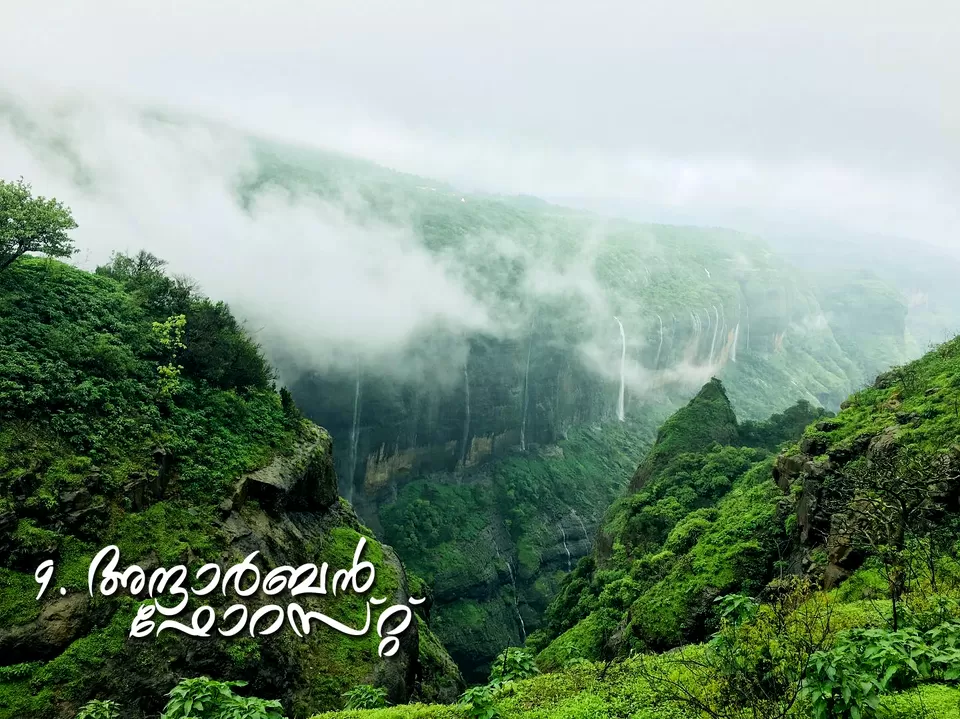 Photo of Andharban Trail start point, Pimpri, Maharashtra, India by MUhammed Unais P (TheIndianTrails)