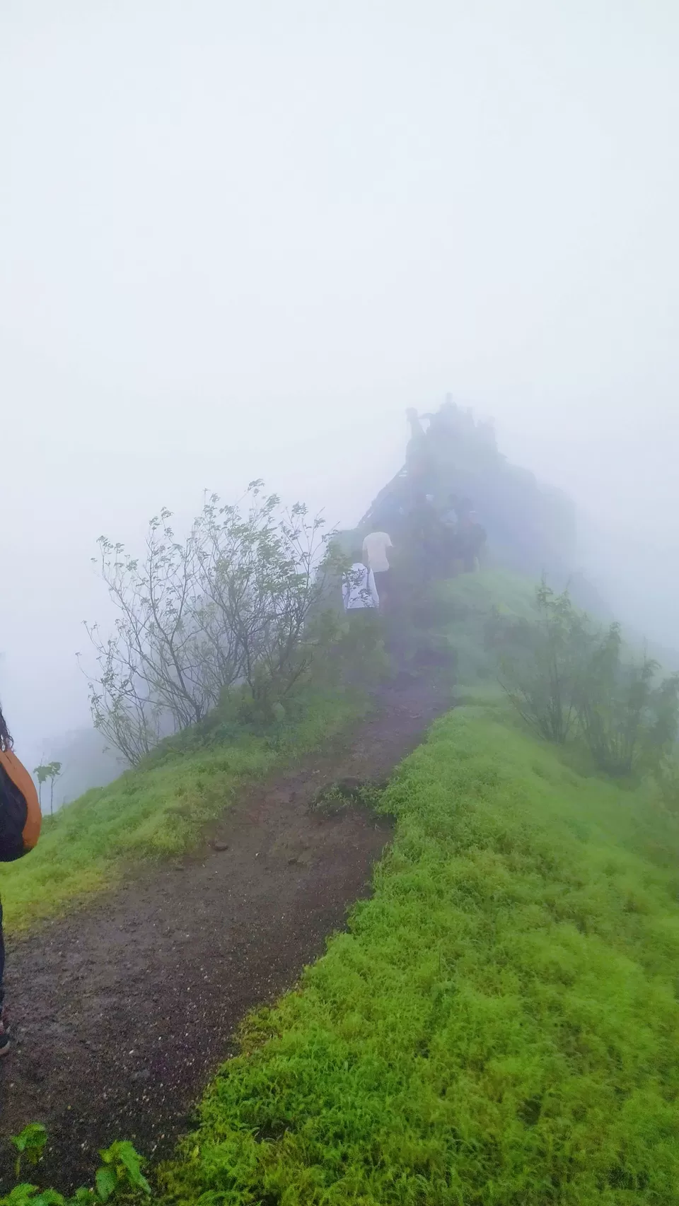 Photo of Vikatgad Peb Fort, Aanand Wadi, Maldunge, Maharashtra, India by MUhammed Unais P (TheIndianTrails)