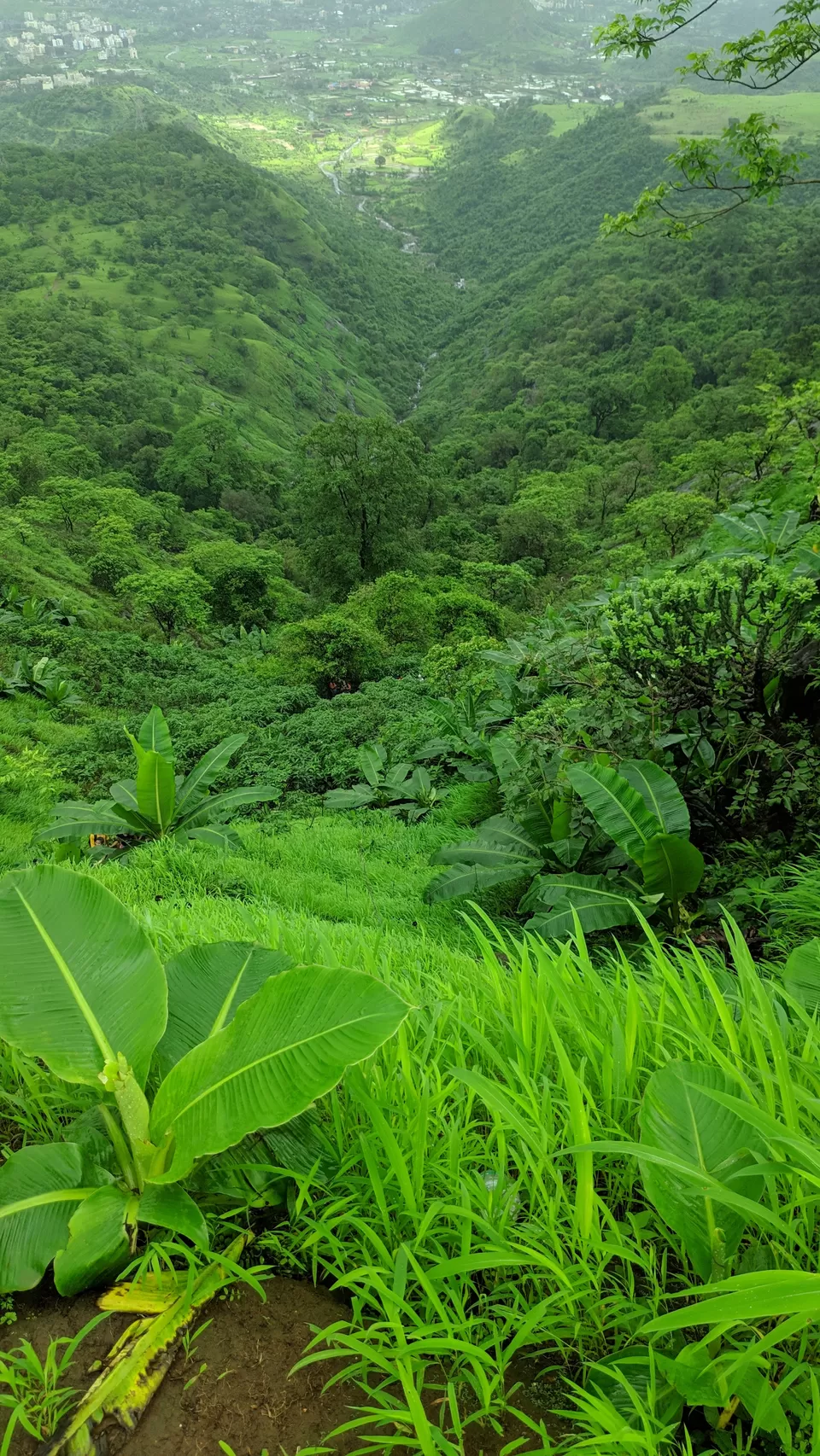 Photo of Vikatgad Peb Fort, Aanand Wadi, Maldunge, Maharashtra, India by MUhammed Unais P (TheIndianTrails)