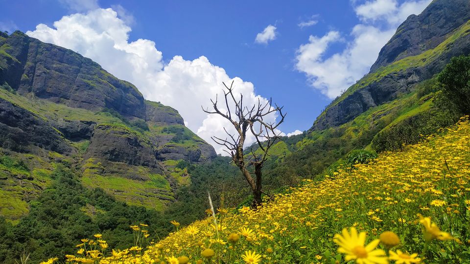 Photo of Harishchandragad Fort Trekking via Khireswar Village 3/8 by MUhammed Unais P (TheIndianTrails)