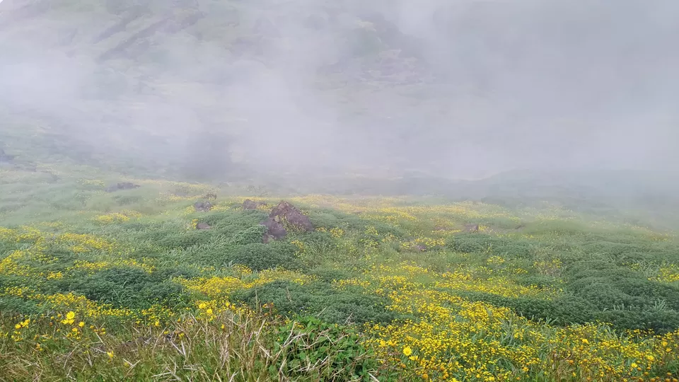 Photo of Harishchandragad Fort Trekking via Khireswar Village by MUhammed Unais P (TheIndianTrails)