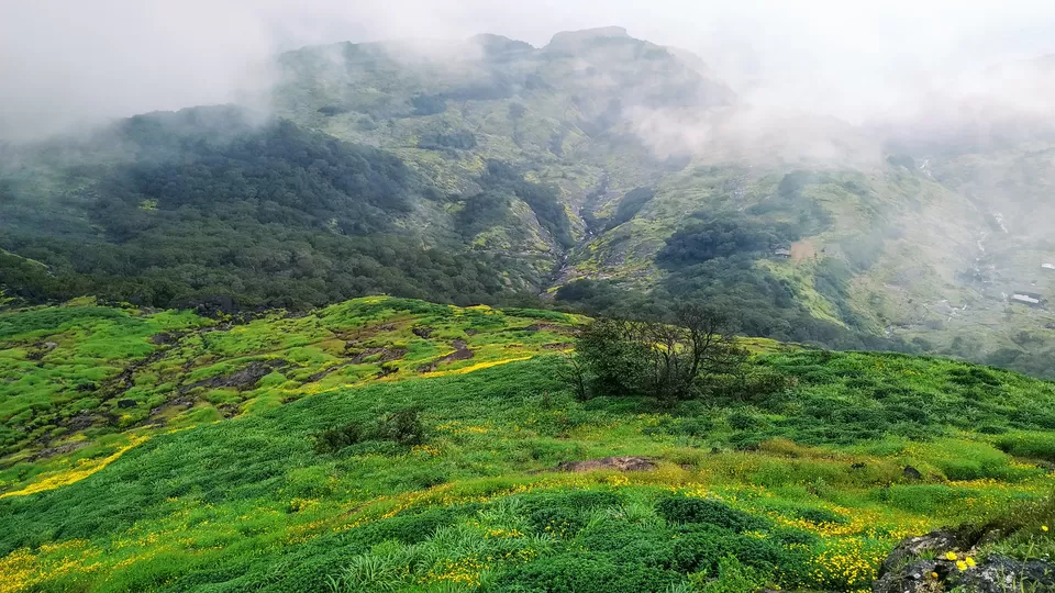 Photo of Harishchandragad Fort Trekking via Khireswar Village by MUhammed Unais P (TheIndianTrails)