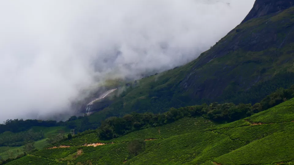 Photo of Munnar, Kerala, India by MUhammed Unais P (TheIndianTrails)